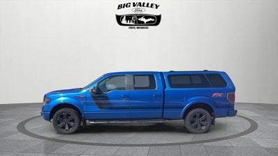 2014 Ford F-150 FX4