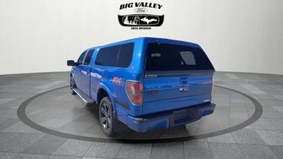 2014 Ford F-150 FX4