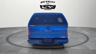 2014 Ford F-150 FX4