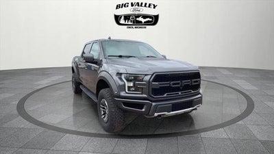 2019 Ford F-150 Raptor
