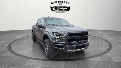 2019 Ford F-150 Raptor