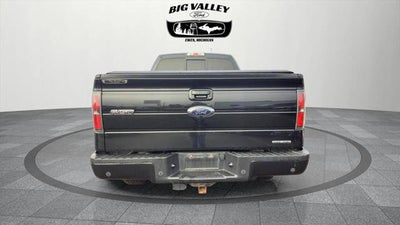 2014 Ford F-150 FX4